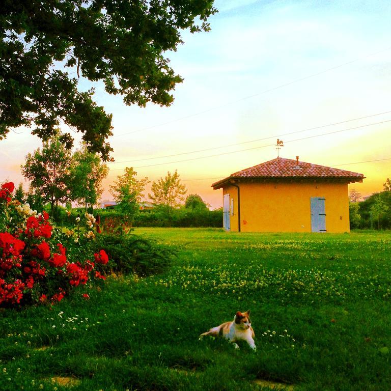 Vigorso 41 Country House Budrio  Zewnętrze zdjęcie